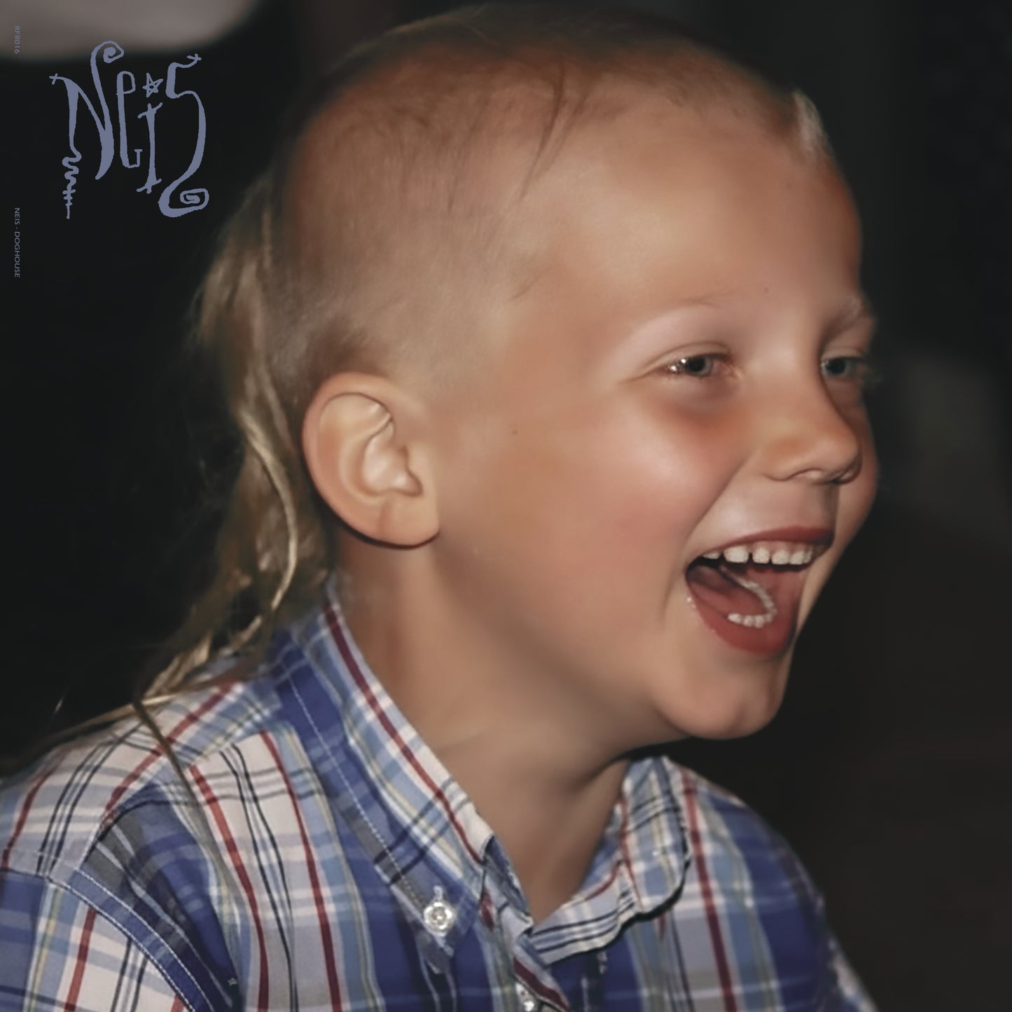 NEIS - Doghouse album